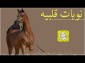 نوبات قلبيه اداء سعد محسن 2025 حصريا نوبات قلبيه اداء سعد محسن 2025 حصريا