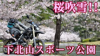 【バイク車載動画】下北山スポーツセンター桜吹雪！！【XR250】