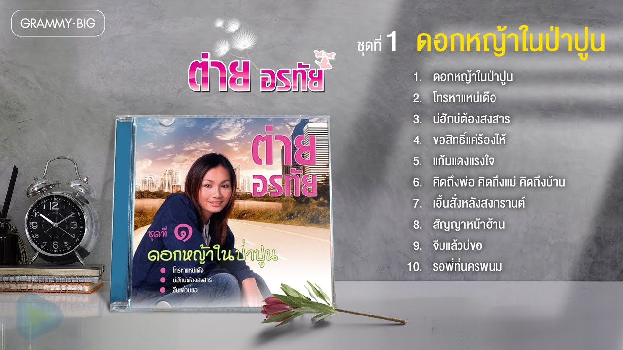 ต่าย อรทัย ชุดที่ 1 ดอกหญ้าในป่าปูน l โทรหาแหน่เด๊อ, บ่ฮักบ่ต้องสงสาร, รอพี่ที่นครพนม