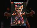 Cat dance #shorts #viral #trending #chhathgeet #song #music #ai #dewali2025 #chhathpuja