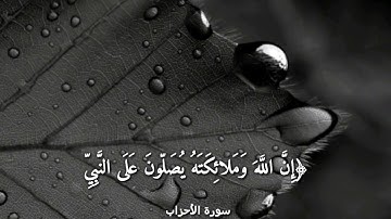 قرآن كريم بصوت القارئ: احمد العجمي || أجمل حالات واتس اب دينيه || تلاوة خاشعة🍃