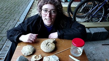 Fossil Friday - Prepping Shells From the Jurassic Period!