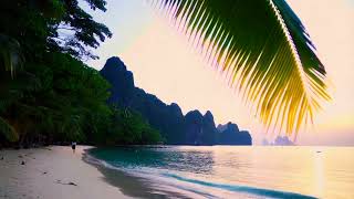 The Role of Marine Animals in Supporting Ocean Life Systems