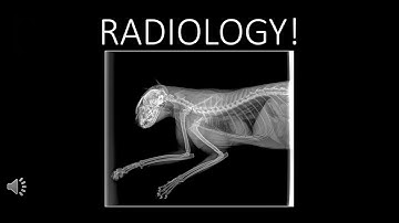 Radiology Saftey and Positioning for Veterinary Assistants