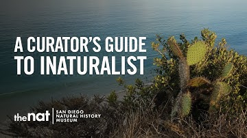 A Curator’s Guide to iNaturalist
