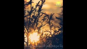 وَمَن يُسلِم وَجهَهُ إِلَى اللَّهِ وَهُوَ مُحسِنٌ ... بصوت القارئ عبدالولي الاركاني