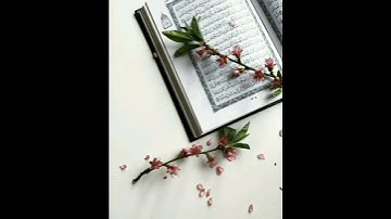 ما تيسر من 🔺سورة الرعد 🔻تلاوة خاشعة و عذبة للقارئ الكردي يوسف عثمان