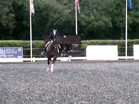 Harvey Moon III, British Dressage, Oldencraig, Nov...