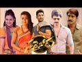 Sarrainodu 2016 Allu Arjun Aadhi Pinisetty Rakul Preet Singh Full Movie Review Facts Sarrainodu 2016 Allu Arjun Aadhi Pinisetty Rakul Preet Singh Full Movie Review Facts