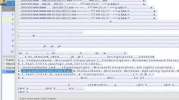12.2.2.10 Lab - Extract an Executable from a PCAP