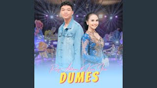 Dumes