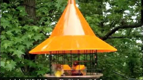 SkyCafe Oriole Feeder