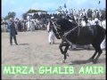 Mirza ghalib amir