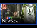 Halifax sees spike in serious dog attacks