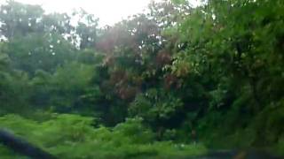 20090925 20090930 Hawaii Driving on Road of Hana