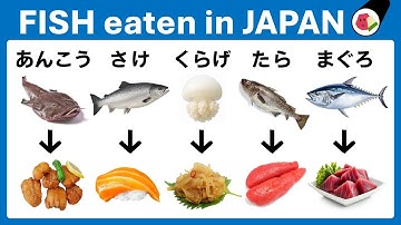 Learn Japanese Fish Names – Easy Words for Beginners
