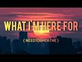 NEEDTOBREATHE - What I&#39;m Here For ( Lyrics )