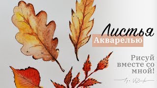 Тааак просто! 4 листика за 3 минуты! Осенние листья красками, осенний лист акварелью Тааак просто! 4 листика за 3 минуты! Осенние листья красками, осенний лист акварелью