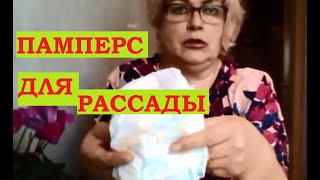Рассада и весь огород в памперсах!(, 2016-04-10T20:11:49.000Z)