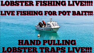 Live UK Lobster Fishing - Catching Bait, Lobsters and Crabs 🇬🇬🇬🇧