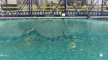 Experimental testing of scaled buoy at Flowave