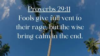 Proverbs 29 11 Control Your Anger