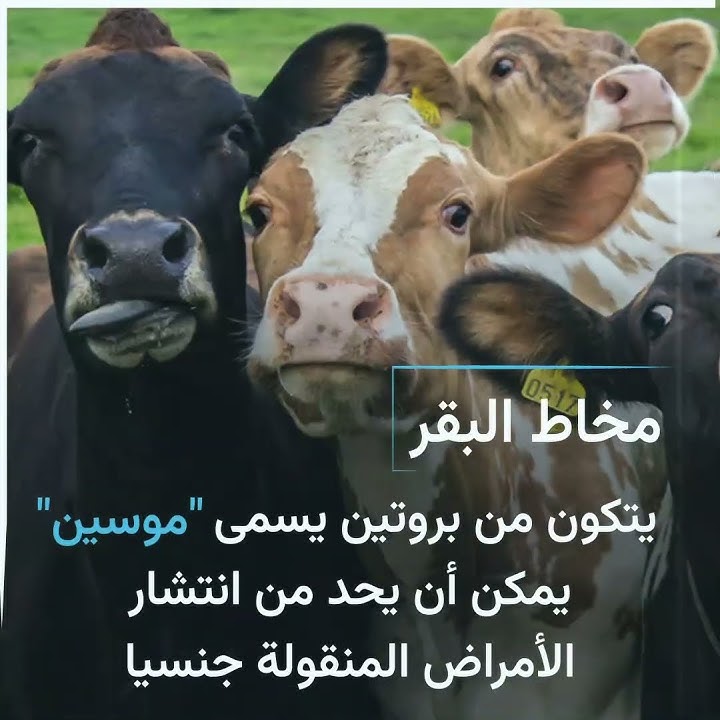 الطبيعة مصدر إلهام لتحقيق اكتشافات علمية مذهلة.. إليك بعضها