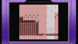 8 8 (0x7C) glitch item's water corruption (Pokémon Red and Blue)