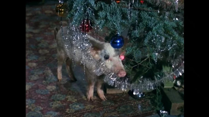Arnold's Christmas Tree | Green Acres | The12 Clips Of Christmas