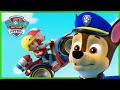 Pups Rescue Ryder and Alex 🐶 | PAW Patrol Rescue Episode | Cartoons for Kids!