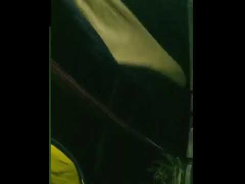 Tragedi Jatuh dari
