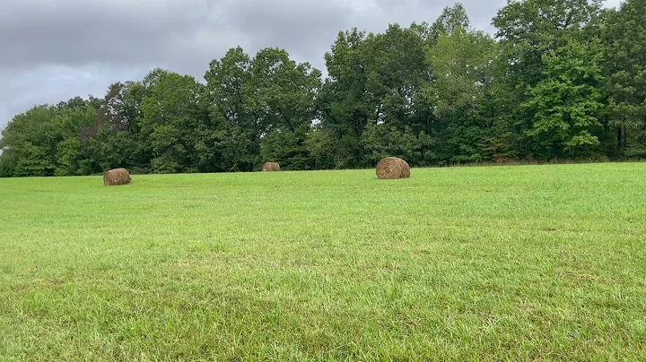 Mildred Road Farm Land For Sale - McKee Kentucky