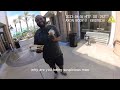 Officer Stops Man Outside Starbucks for ‘Suspicious’ Behavior | Body Cam Footage