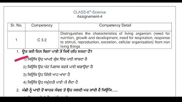 6th Class Science|Assignment No.4 Solution|CEP 2025|Competency enhancement program|
