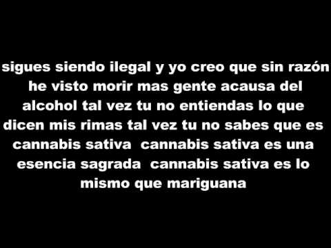 Cartel De Santa - Cannabis Sativa (Letra)