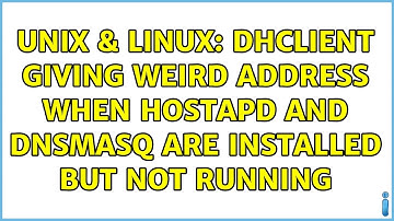 Unix & Linux: dhclient giving weird address when hostapd and dnsmasq are installed but not running