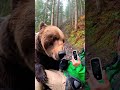 山道でクマと会話