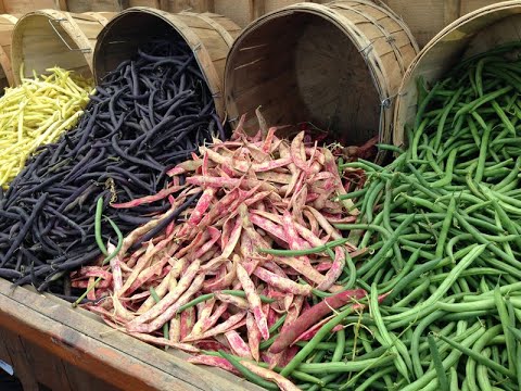beans types green