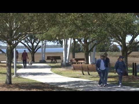 Pollen counts hit high levels ahead of spring