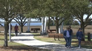 Pollen counts hit high levels ahead of spring
