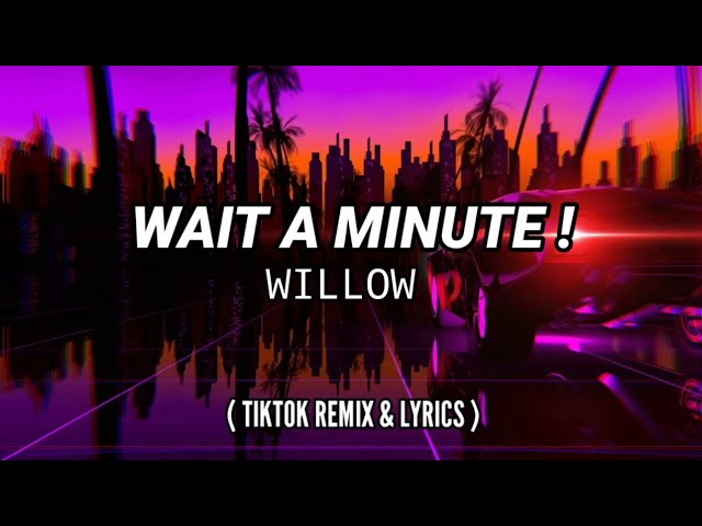 Wait a Minute - Willow Smith, Tradução