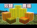 マイクラ 作業厨が村人を320人使って全自動畑作ってきた 効率を極めるサバイバル Part26 マイクラ 作業厨が村人を320人使って全自動畑作ってきた 効率を極めるサバイバル Part26