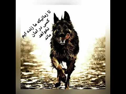 اغنية إيرانية حزينة دنيا هي دنيا