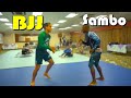 Sambo fighter punks jiu jitsu brown belt