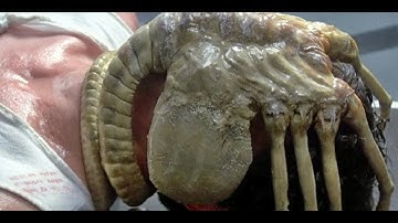 Alien Isolation Part 2 : I