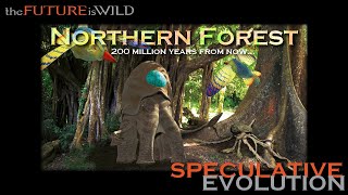 Speculative Evolution / Northern forest