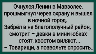 Как Ленин по Ночному Городу Гулял! Сборник Свежих Анекдотов! Юмор!