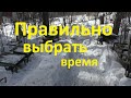 Когда лучше весной выставлять пчел и что еще сделать