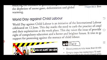 Sst V Ch 22 Days we Observe UN Observances