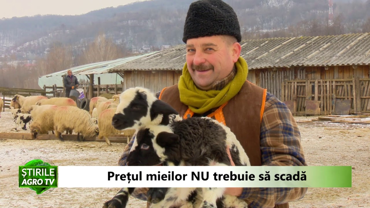 VIDEO Prețul mieilor nu trebuie să scadă 1 VIDEO Prețul mieilor nu trebuie să scadă YouTube player